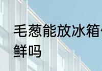 毛葱能放冰箱保鲜吗 葱可以放冰箱保鲜吗